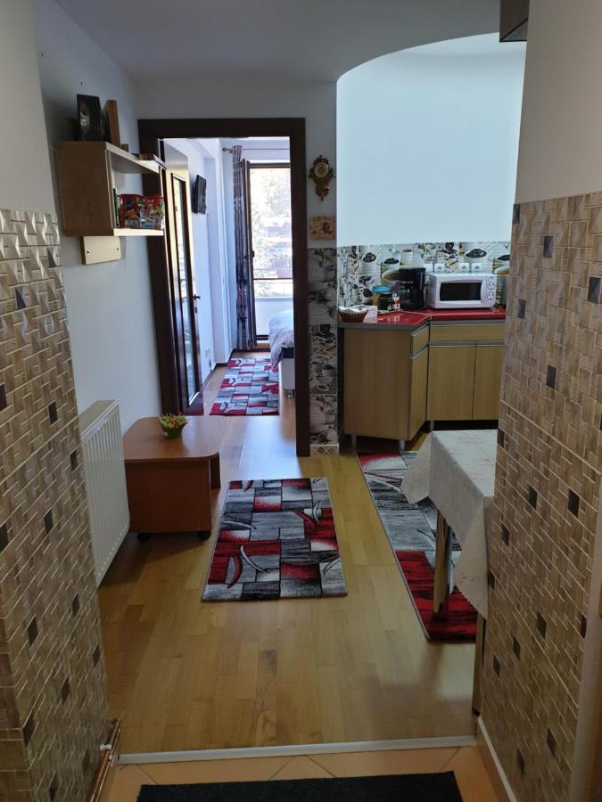 Sophie Apartament Leilighet Sinaia Eksteriør bilde
