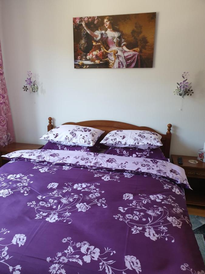 Sophie Apartament Leilighet Sinaia Eksteriør bilde