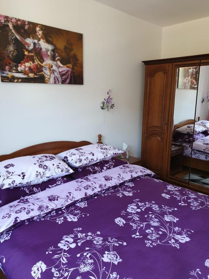 Sophie Apartament Leilighet Sinaia Eksteriør bilde