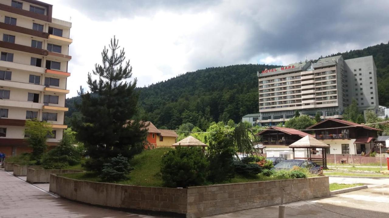 Sophie Apartament Leilighet Sinaia Eksteriør bilde