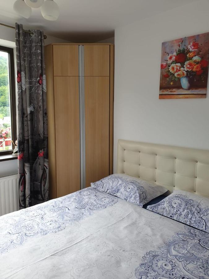 Sophie Apartament Leilighet Sinaia Eksteriør bilde