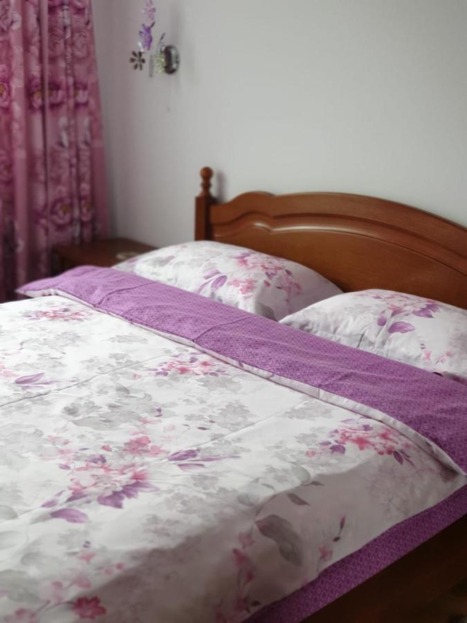Sophie Apartament Leilighet Sinaia Eksteriør bilde