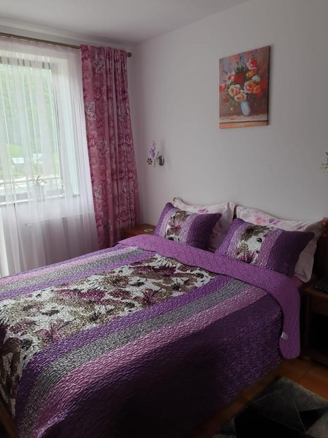 Sophie Apartament Leilighet Sinaia Eksteriør bilde