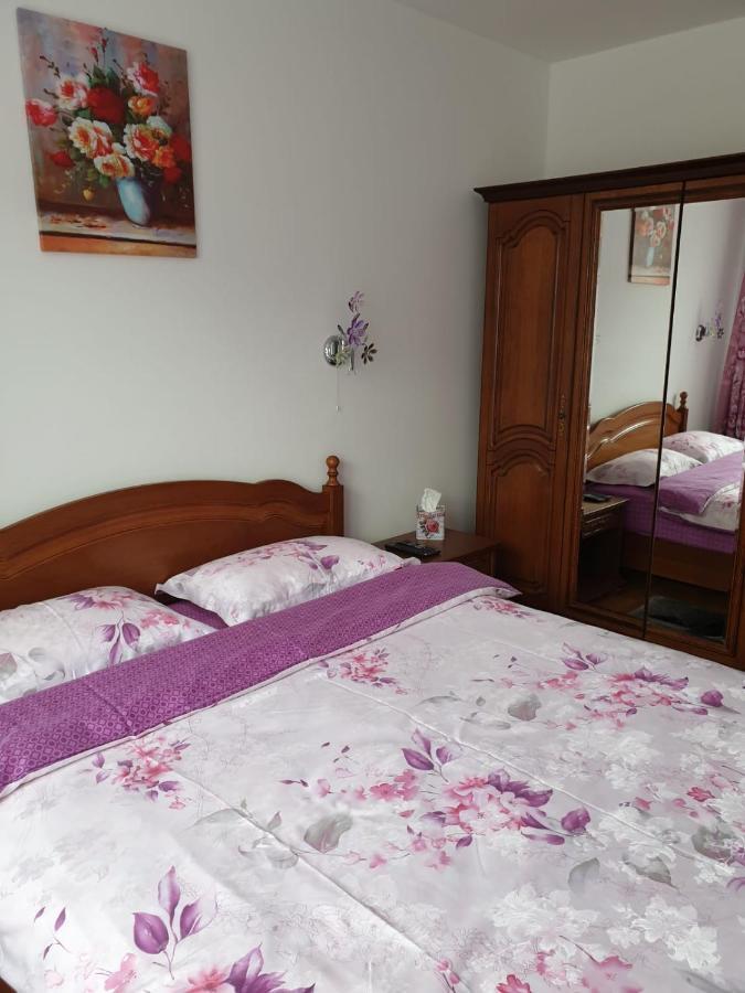 Sophie Apartament Leilighet Sinaia Eksteriør bilde