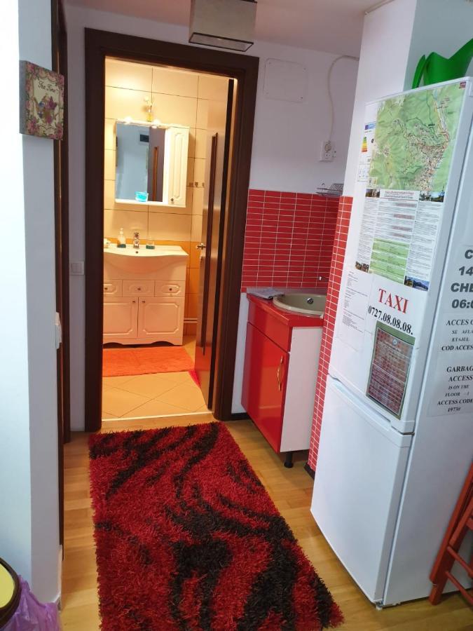Sophie Apartament Leilighet Sinaia Eksteriør bilde
