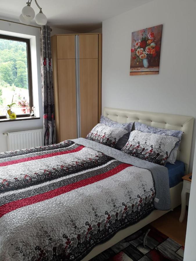 Sophie Apartament Leilighet Sinaia Eksteriør bilde