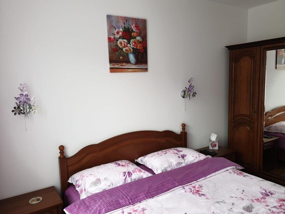 Sophie Apartament Leilighet Sinaia Eksteriør bilde