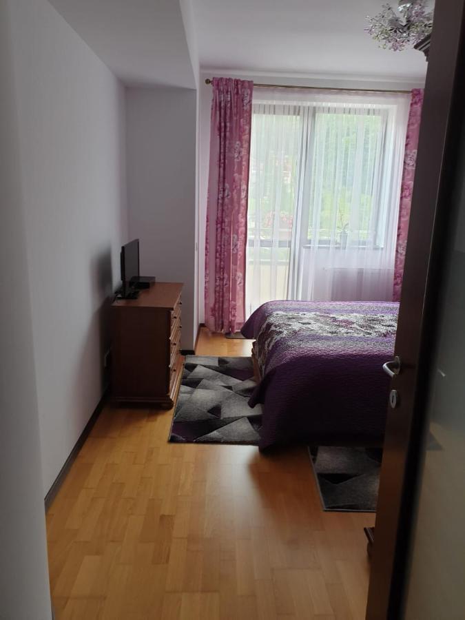 Sophie Apartament Leilighet Sinaia Eksteriør bilde