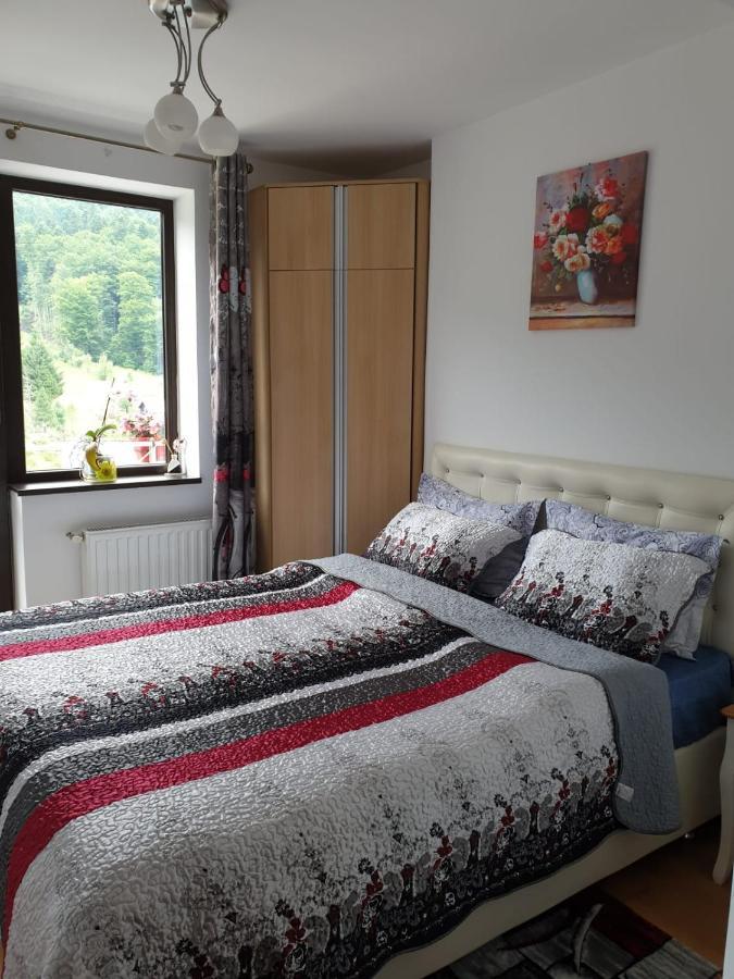 Sophie Apartament Leilighet Sinaia Eksteriør bilde