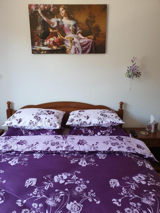 Sophie Apartament Leilighet Sinaia Eksteriør bilde