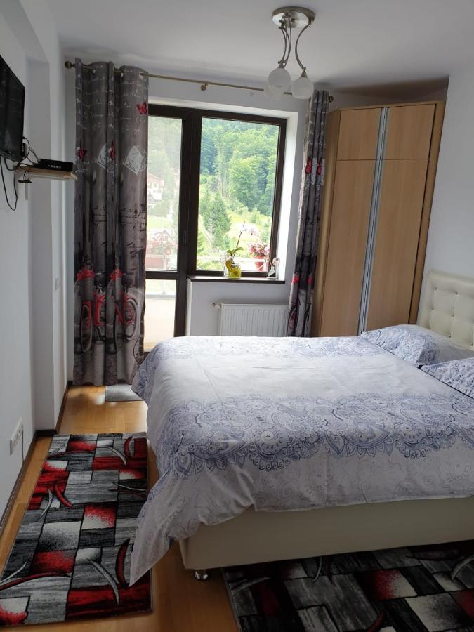 Sophie Apartament Leilighet Sinaia Eksteriør bilde
