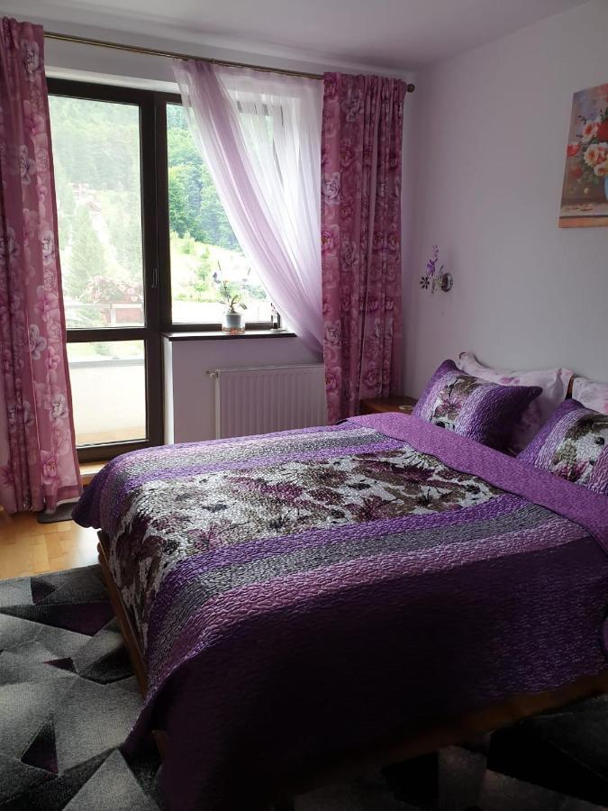 Sophie Apartament Leilighet Sinaia Eksteriør bilde